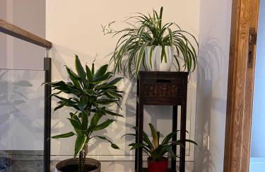 CASA GELA. Entorno rural - Foto 13