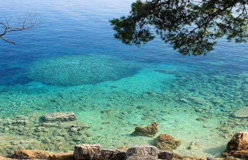 Apartments Mila - Foto 14