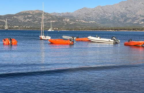 Les galets bleus de Calvi - Foto 48
