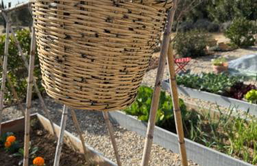 Casa Chica Boutique - Foto 23