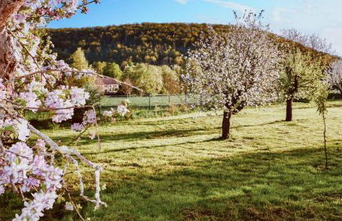 3 Bedroom Stunning Apartment In Nebra - Foto 14