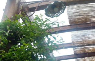 I Colori del Sole - Foto 49