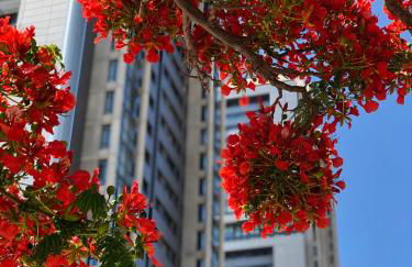 Home2Book El Encanto De la Torre I - Foto 50