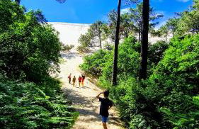 Résidence du Haurat - Foto 44