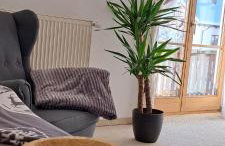 Traumhafte Ferienwohnung auf 100 Quadratmetern für 6 Pers nähe München, ICM, Therme, MUC - Foto 5