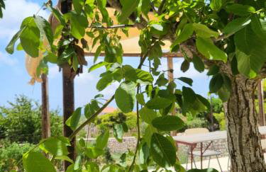 Angelos Stone Cottage - Foto 22