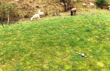 Appartement Max - Foto 21