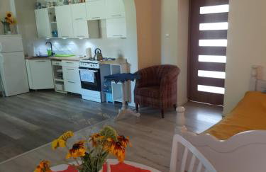 Ogród Pałacowy - Foto 16