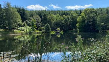 Les Brizards, L'Auberge - Morvan (8 personnes) - Foto 2