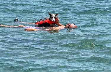 Villa Sucuraj - Foto 40