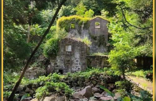 Herdade das Hortênsias - Foto 31