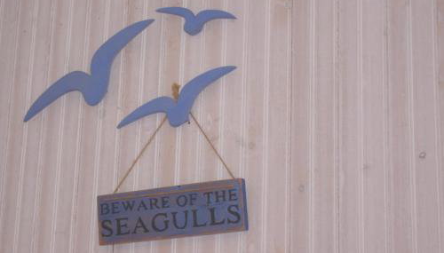 81 Glan Gwna chalet with lakeside balcony - Foto 5