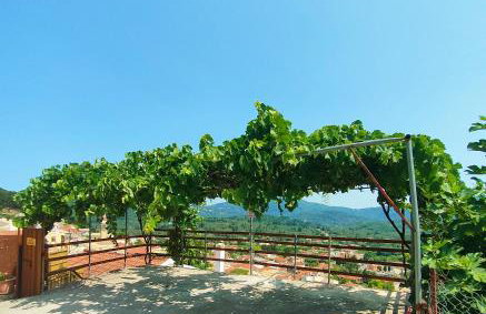 VILLA CHRYSANTHOS - Foto 29