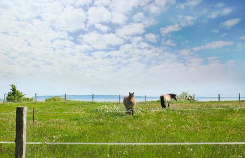 Ferienresidenz Kap Arkona Ferienwohnung 12 - Foto 18