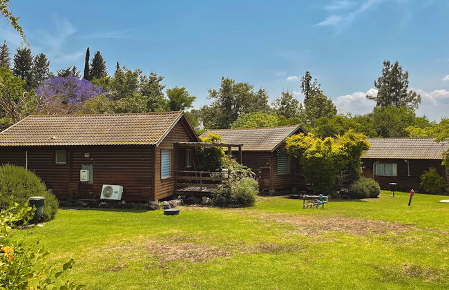 Nofey Habashan - Foto 72