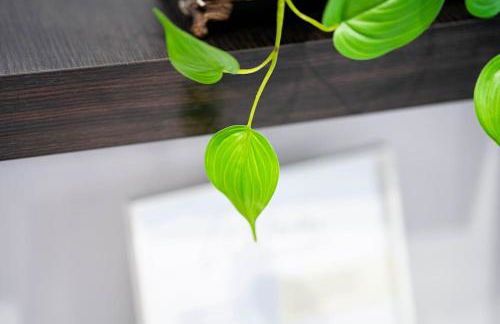 Ático coqueto en Marbella, cerca Puerto Banús - Photo 23