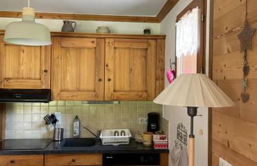 T2 vue sur le parc de la vanoise - Foto 11