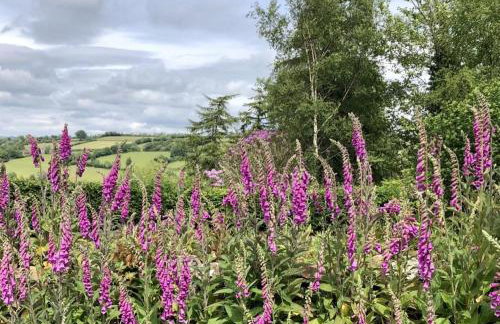 The Piggery Dulverton - Foto 45