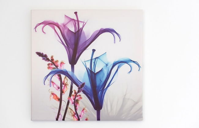 So-l563-tola35e2 - Villa Tola - Blu - Foto 42