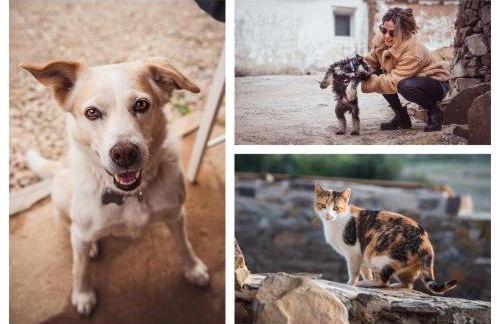 Recanto d'Aldeia - Foto 27