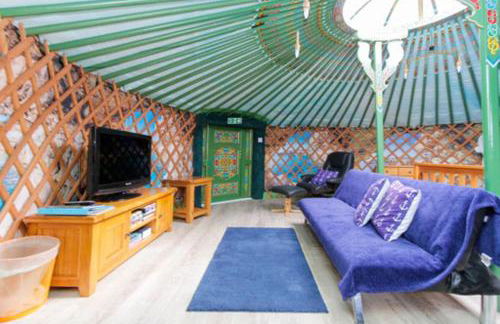Green Yurt with Hot Tub - Sleeps 3 Parking & Pets - Photo 1