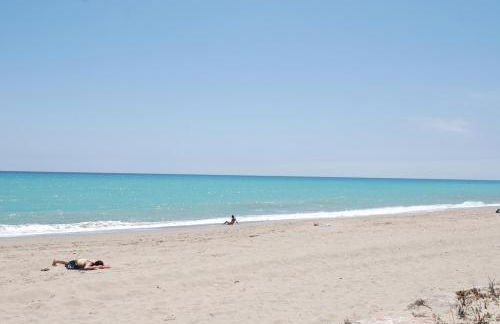 Zeus Guardamar Seaview - Foto 37