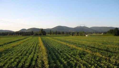 Appartement 2 - Foto 5