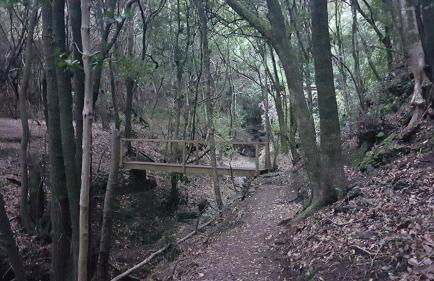 La Casita de Omar en el corazón de Anaga y La Laguna - Foto 53