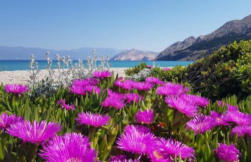 Villa Katarinini Dvori - Foto 46