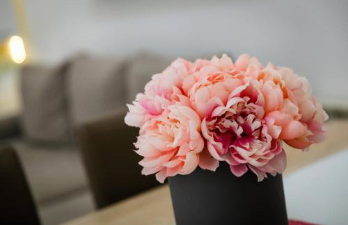 APARTMAN Brajutovci 26 - Foto 26