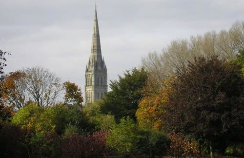 The Potting Shed Sopley - Photo 31