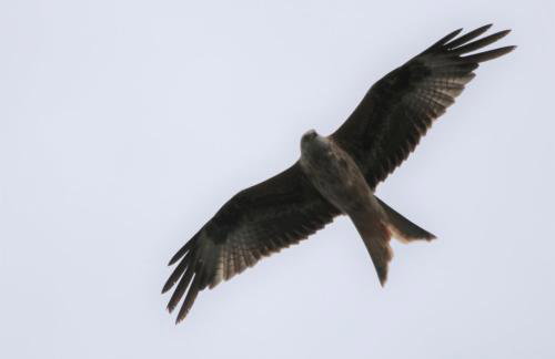 Oak & Hazel, Heath Row Barn - Foto 27