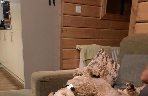 Owl Cabin - Photo 50