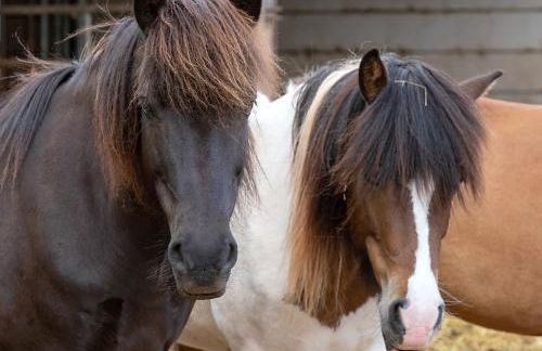 Ferienwohnung Roderath - Photo 19