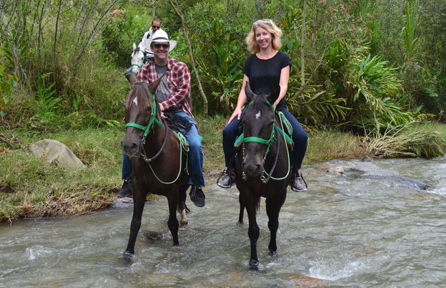 Horseback Riding in Salento - Photo 4