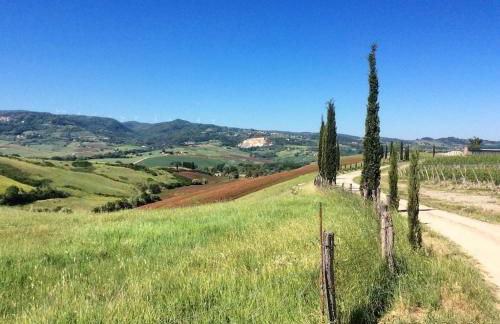 Nido Bianco - Foto 12