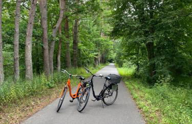 Ferienhaus Felix am Radweg im Naturschutzgebiet - Photo 18