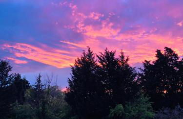 Le Nid de la Huppe - Foto 37