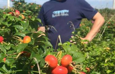 Apartament Różane Wzgórze - Foto 47