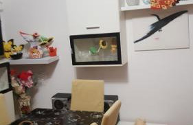 Vera Apartment - Photo 36