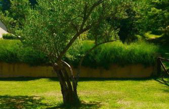 Agriturismo Acero Rosso - Foto 14