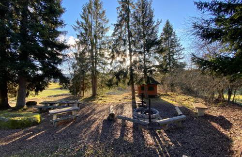 Auszeit im Schwarzwald - Foto 37