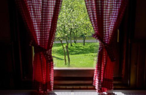 Kuća za odmor Šegota - Photo 19