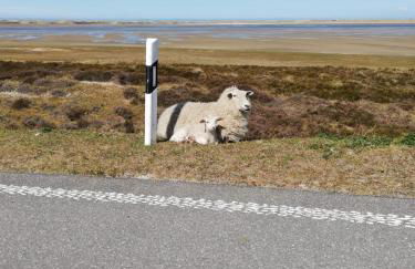 Ferienwohnung op de Warft - Foto 41