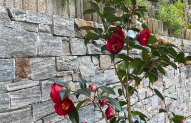 ZumGlückFrei - Foto 34