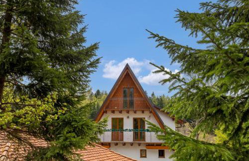 Mountain house Beauty of Laz - Foto 11