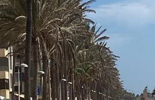 Almeria playa Zapillo - Foto 23