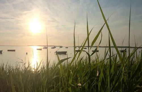 Idyllisches Ferienhaus mit Terrasse in Rerik - Foto 34