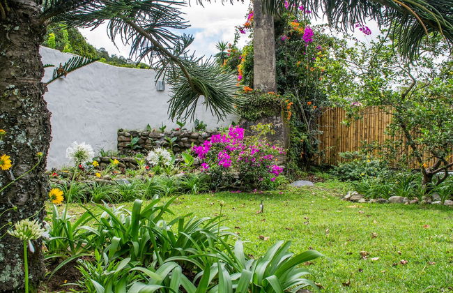 Downtown Suites - Foto 52