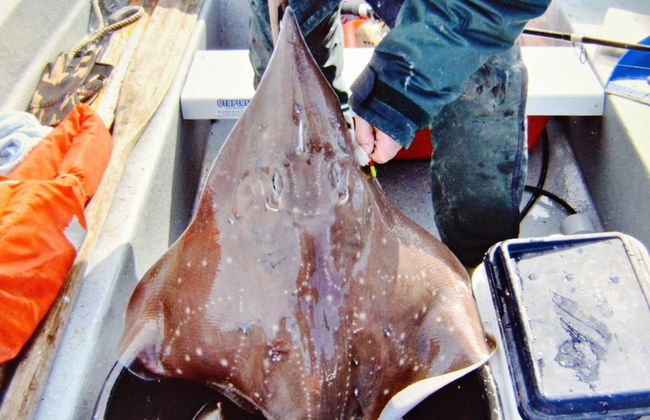 Holiday Home in EidsvÃ¥g - Foto 39